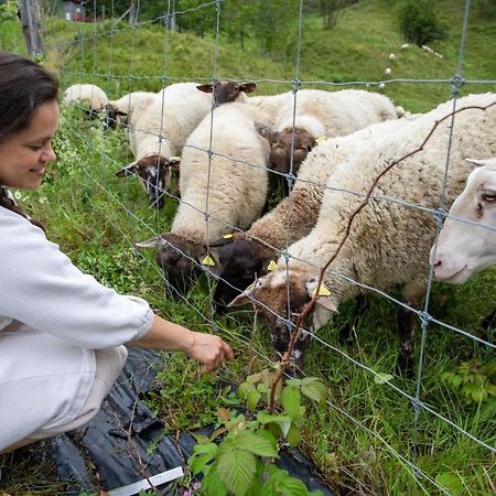 La Vieille Ferme, Ecogite Saint-Fulgence 외부 사진