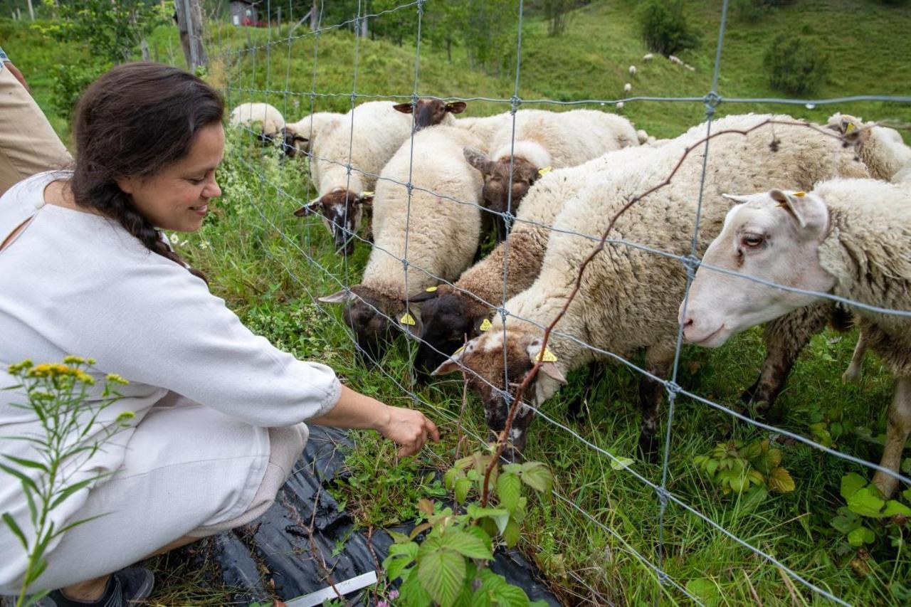 La Vieille Ferme, Ecogite Saint-Fulgence 외부 사진