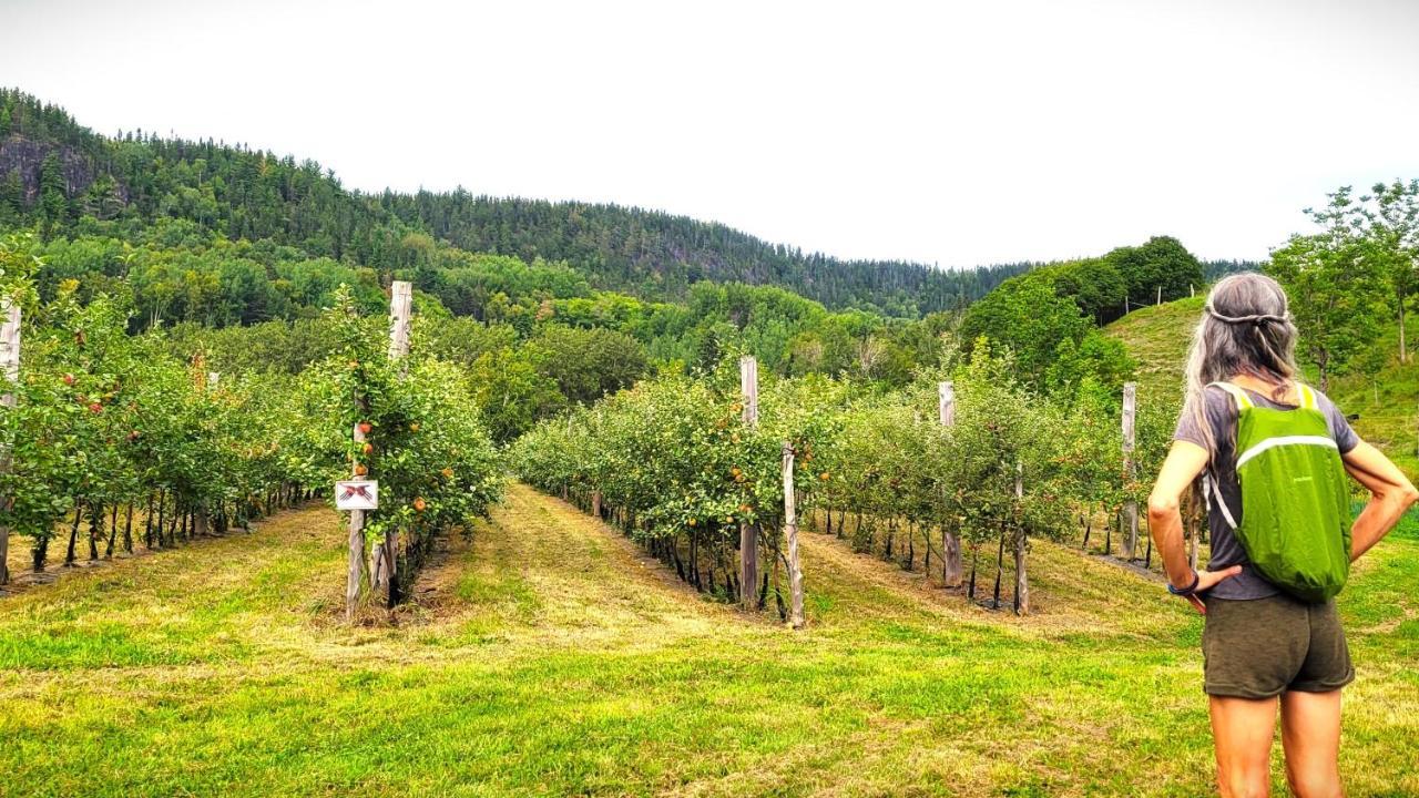 La Vieille Ferme, Ecogite Saint-Fulgence 외부 사진