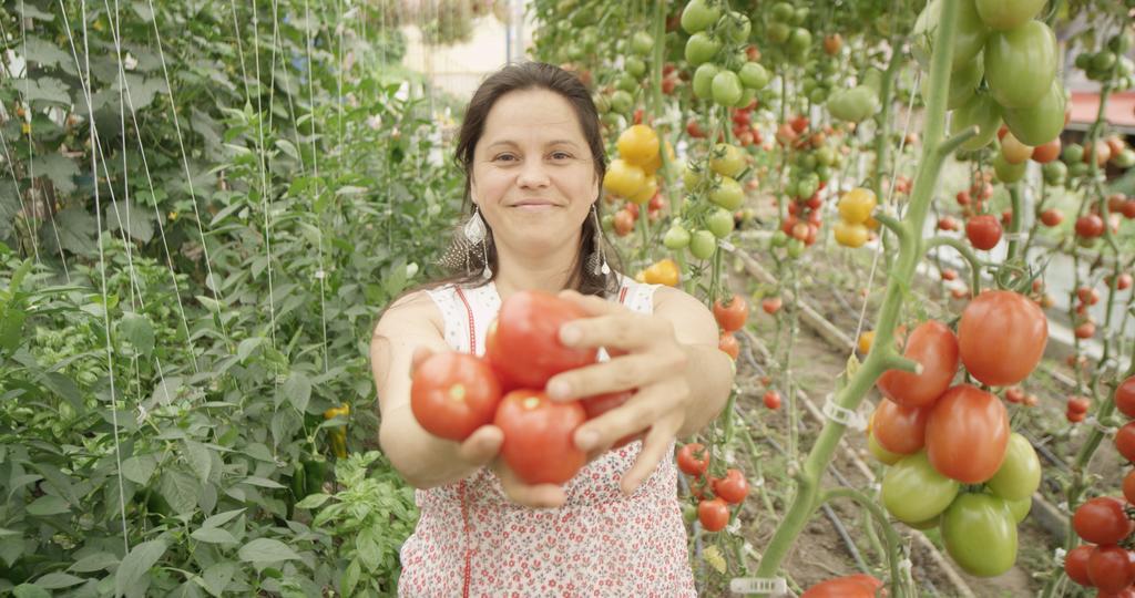 La Vieille Ferme, Ecogite Saint-Fulgence 외부 사진